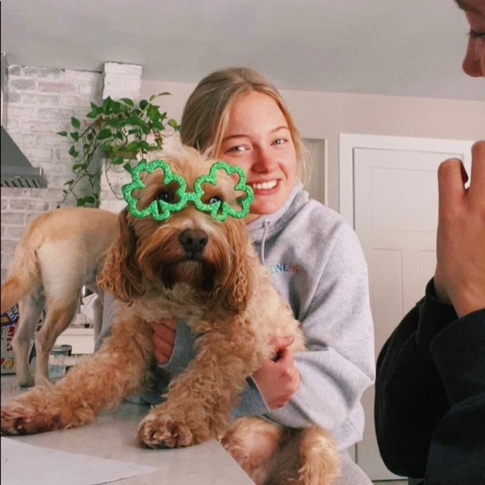 Meet your Posher, Sara